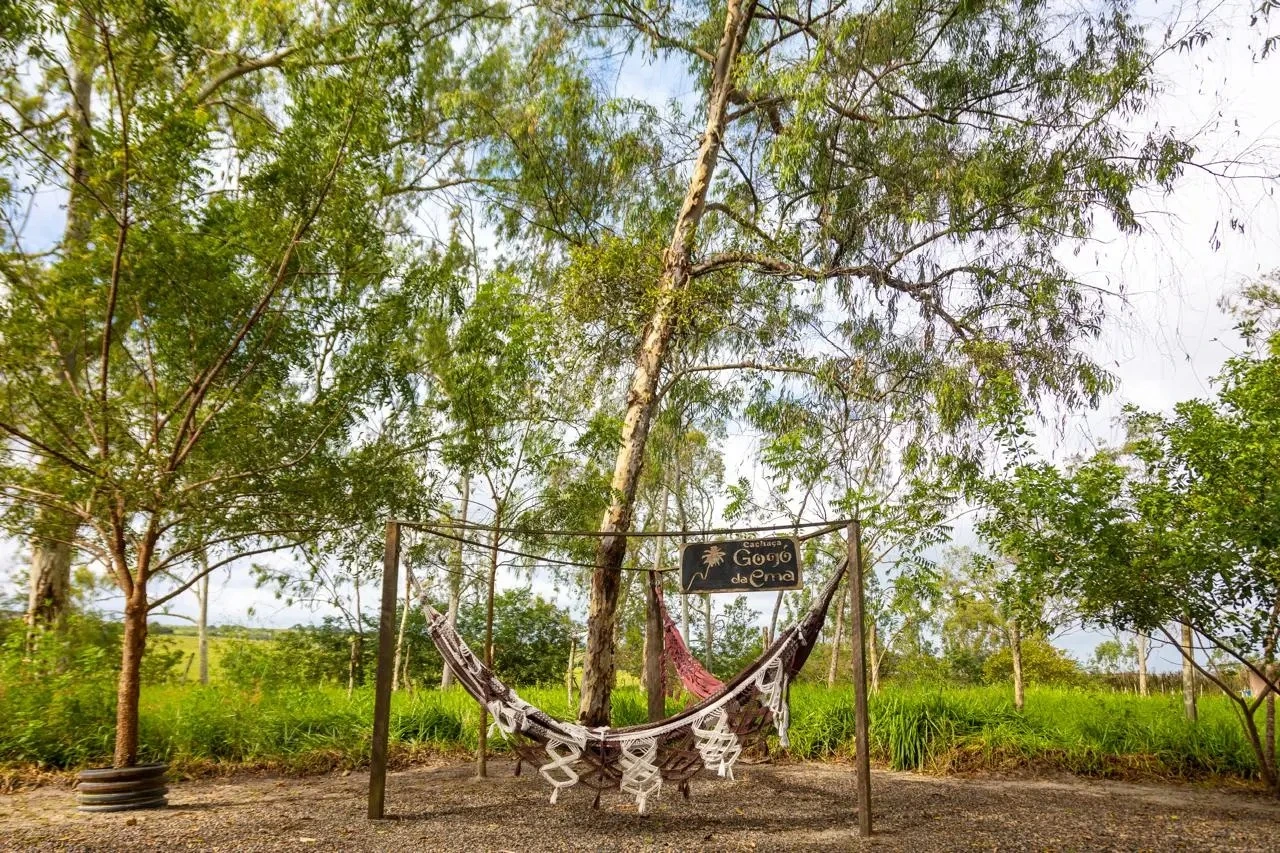Imagem da cidade de São Sebastião no estado de AL